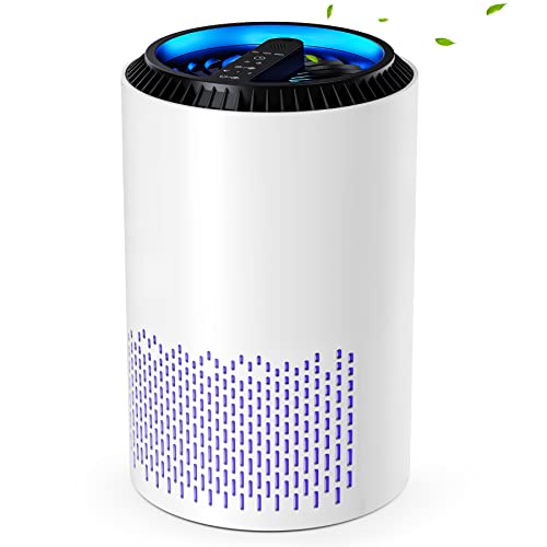 CONOPU Air Purifier for Home Bedroom with Hepa H13 99.97% Filter, Air Cleaner portable for Allergies, Dust, Odors, Pet, Pollen