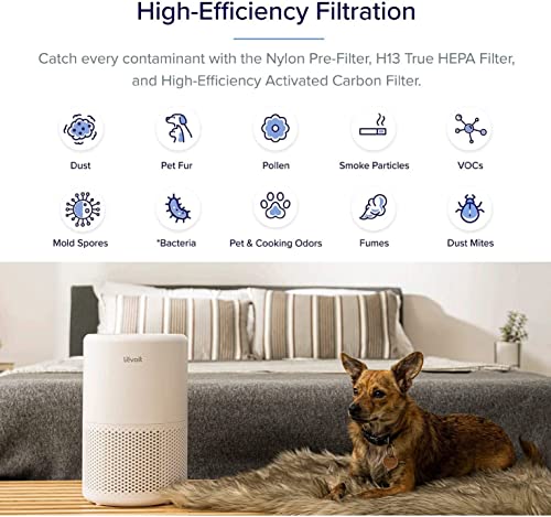  LEVOIT LV-H128 Air Purifier Replacement, 3-in-1 Pre-Filter,  Capture Dust Smoke Pollen, Activated Carbon, 3-Stage Filtration System, 2  Piece Set, LV-H128-RF, 1 Pack : Home & Kitchen