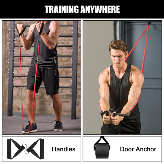 Odoland Pull Up Assist Bands, Pull Up Straps, Resistance Bands with Door Anchor and Handles, Stretch Mobility, Powerlifting and Extra Durable Exercise Bands with eGuide for Men and Lady Classic